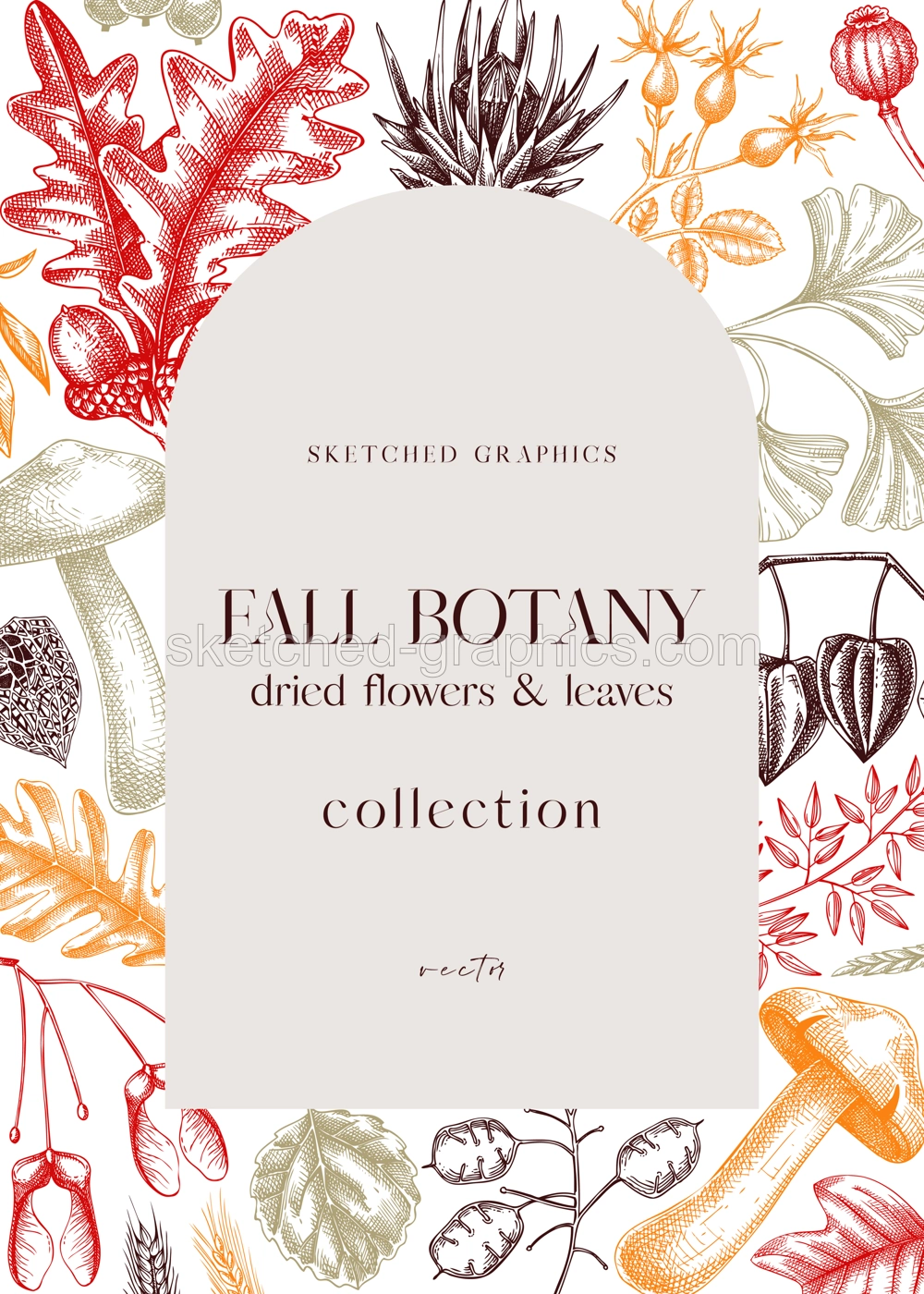 Autumn arc design with fall leaves and dried flowers. Thanksgiving background. Fall card or invitation. Sketched dried herbs, falling leaves, mushrooms, seeds frame. Botanical illustration in color Illustration